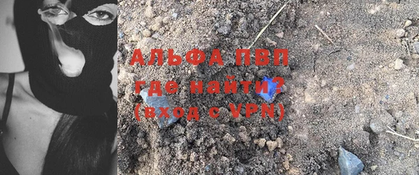 гашик Белокуриха