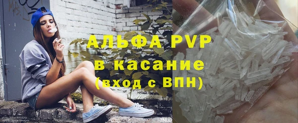 прущий лед Богданович