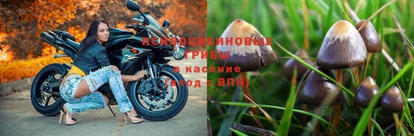 прущий лед Богданович