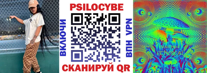 Псилоцибиновые грибы Psilocybine cubensis  Купить где  Сольцы 