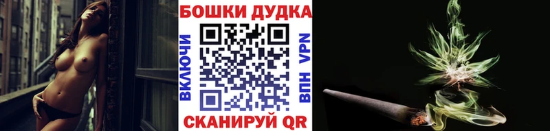 Каннабис сатива  Купить закладки  Сольцы 